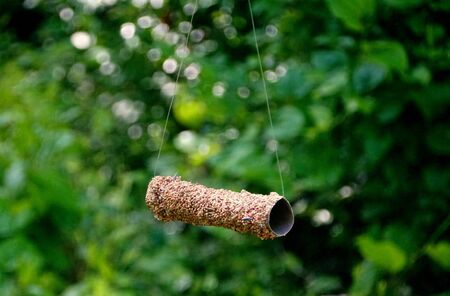 A homemade bird feeder made with paper towel roll and fishing lineの写真素材