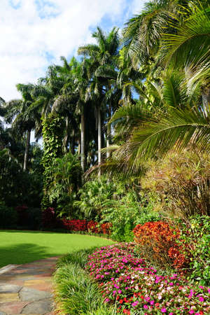 A tropical garden with variety of plants and tall palm trees near St Petersburg, Florida, U.S.Aの写真素材