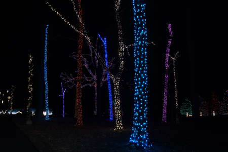 Beautiful trees with branches decorated in colorful lights in Nottingham, Pennsylvania, U.S.Aの写真素材