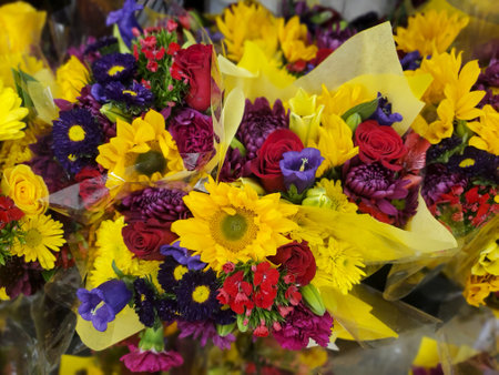 The variety of red roses, purple and yellow chrysanthemum on a bouquet of flowersの写真素材