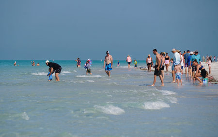 Anna Maria Island, Florida, U.S.A - March 26, 2026 - Crowded beach scene with families and swimmers enjoying shallow water on a bright, sunny day.のeditorial素材