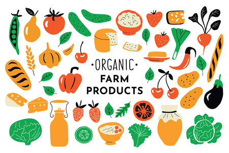 Healthy food, organic products set. Funny doodle hand drawn vector illustration. Farm market cute nutrition collection. Natural fruits, vegetables and dairy. Isolated on white.のイラスト素材