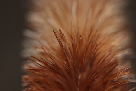 Close up of cleaning brush with beautiful and nice pattern