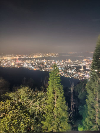 A breathtaking night view of a sprawling city illuminated by vibrant lights, captured from a mountain vantage point. The city skyline glows with countless lights, while the surrounding trees add a natural frame to the scene. The image evokes a sense of tranquility and wonder, making it perfect for themes related to travel, urban landscapes, or nighttime photography.の写真素材
