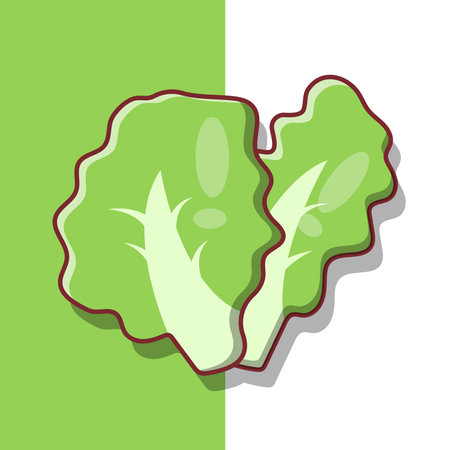 Lettuce Slices Vector Icon Illustration. Sliced Veggies Vector. Flat Cartoon Style Suitable for Web Landing Page, Banner, Flyer, Sticker, Wallpaper, Backgroundのイラスト素材