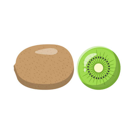 Kiwi Flat Illustration. Clean Icon Design Element on Isolated White Backgroundのイラスト素材