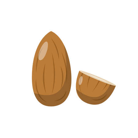 Almond Flat Illustration. Clean Icon Design Element on Isolated White Backgroundのイラスト素材