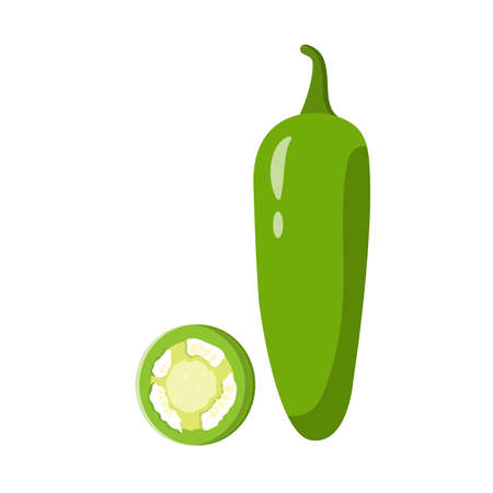 Jalapeno Flat Illustration. Clean Icon Design Element on Isolated White Backgroundのイラスト素材