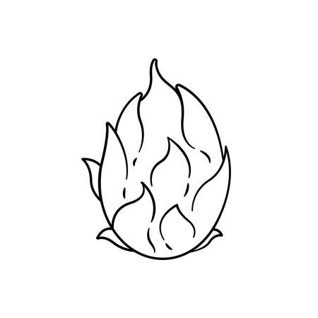 Dragon Fruit Outline Icon on White Backgroundのイラスト素材
