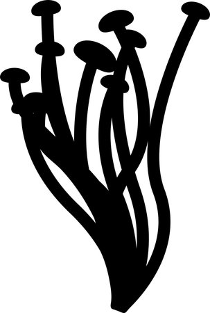 Enoki Mushroom Silhouette. Black and White Icon Design Elements on Isolated White Backgroundのイラスト素材