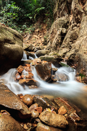waterfall with plantの写真素材