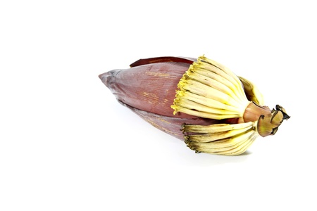 Banana flower isolated on white background の写真素材