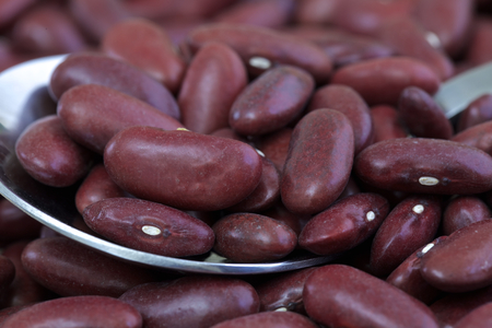 The kidney bean with its dark red skin is named for its visual resemblance to a kidney. The kidney bean is also known as the red bean, although this usage can cause confusion with other red beans.の写真素材