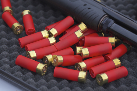 12 gauge shotgun shells with shotgun on surface