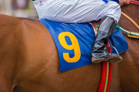A Jockey Leads the Number nine Horse to Start Gate at Horse Raceの写真素材
