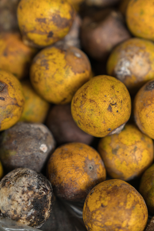 Rotten and fresh tangerine fruit with mold.の写真素材