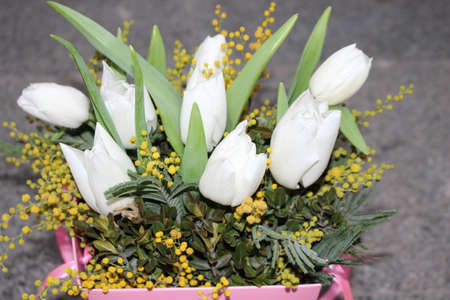 tulips, spring flowers. Mix of tulip flowers near the windowの写真素材
