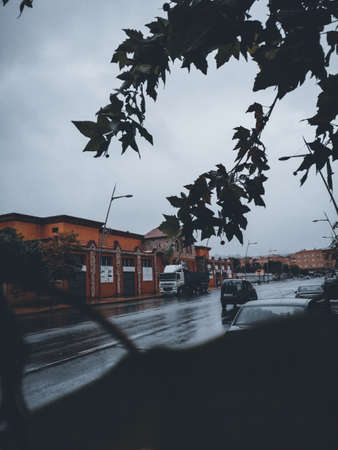 natural  picture from moroccoの写真素材