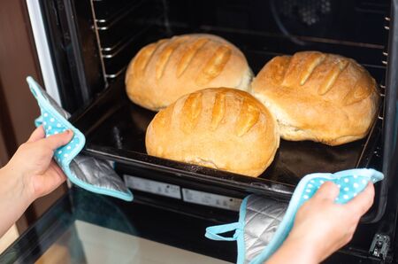 Bakery concept, woman baked a homemade traditional whole grain freshly bread during economic crisis,...