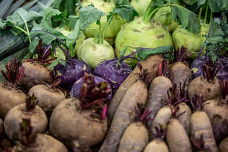 Fresh beetroot and kind of kohlrabi from an agricultural garden on a marketplaceの写真素材