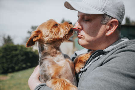 Handsome human and dog love together, darling of dogs, relationship puppyの写真素材