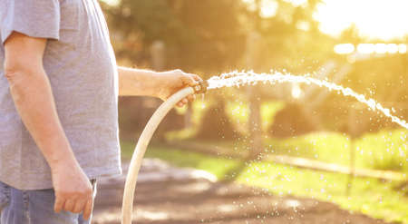 Gardener watering the garden or vegetable during dry season, summer time, global warming, gardening conceptの写真素材