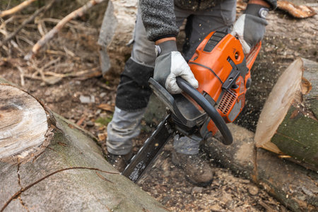 Young man cutting the huge felled wood by chainsaw, create winter wood stocks, industrial conceptの写真素材