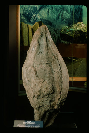 Krafft Basalt volcanic bomb - Primaryの写真素材