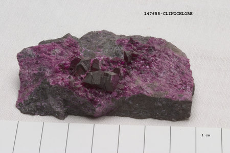 KÃ¤mmererite - Primary Mineral Vibrant KÃ¤mmererite: A Chromium-Rich Clinochlore