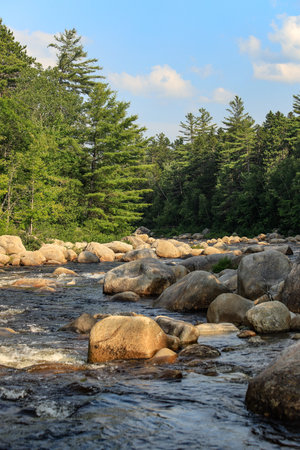 Downstream View of Wissataquoik River from Orin Fallsの写真素材
