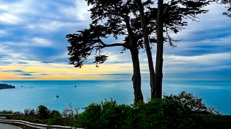Golden Pacific Seascape with Cypress at Lands Endの写真素材