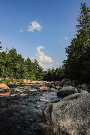Downstream View of Wissataquoik River from Orin Fallsの写真素材