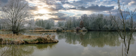 Winter Serenity at Rott Lake with Trees, Sky, Clouds, and Sunの写真素材
