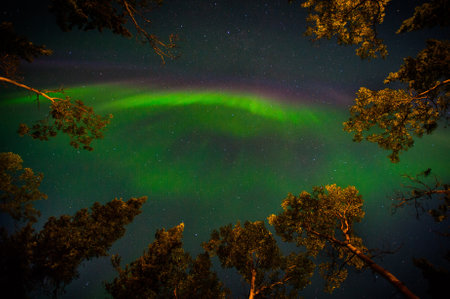 Green Northern Lights Over Denali National Park, Alaskaの写真素材