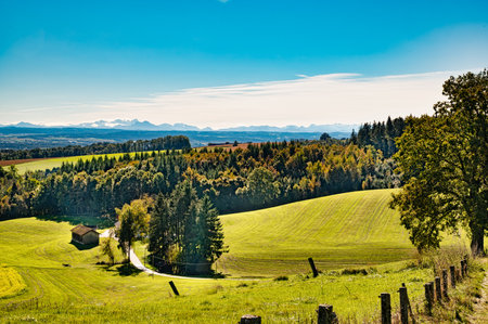 Expansive Green Field with Trees Under a Blue Sky and Clouds Golden Autumn Foehn Day with Expansive Alpine Panorama at Rottal Inn near Halmstein RotthalmÃ¼nsterの写真素材