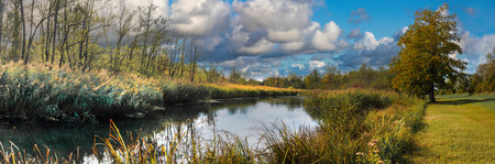 Autumn Splendor on the Inn River Amid Vibrant Trees and Colorful Grassの写真素材
