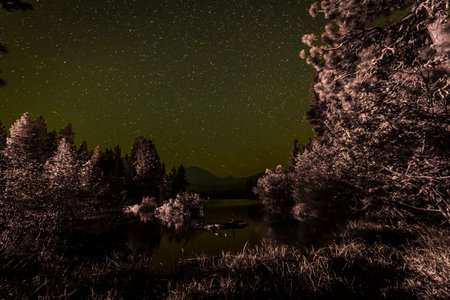 Starry Night Over Manzanita Lake and the Milky Wayの写真素材
