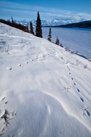 Tracks on a snowy hillside overlooking a frozen lakeの写真素材