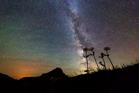 Milky Way Over Silhouetted Flowers and Mountains at Glacier National Parkの写真素材