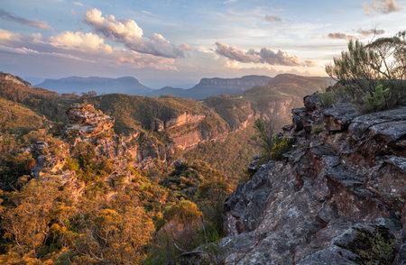Narrow Neck Plateau and Mount Solitary Recovering After Black Summer Firesの写真素材