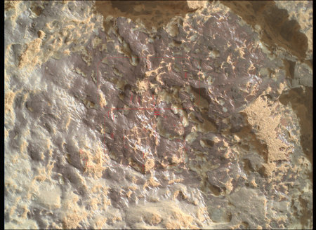Mars Perseverance Unveils Exposed Remains on Sol 1309の写真素材