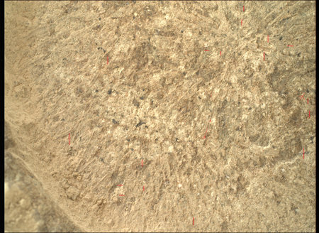 Mars Perseverance Rover's SHERLOC WATSON Unveils Martian Surface Intricacies on Sol 1317の写真素材