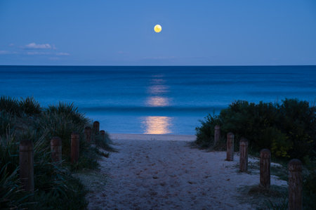 Full Moon Rising Over South Beach in Wollongong, New South Wales, Australiaの写真素材