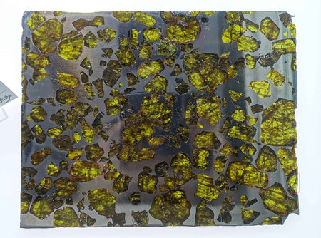 Fukang Pallasite Meteorite Slice: A Captivating Exhibit at ASUâs Center for Meteorite Studies in Tempe, Arizonaの写真素材
