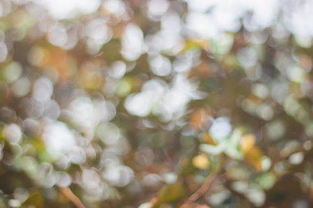 Abstract Blur of light bokeh background with full color green, yellow and gray