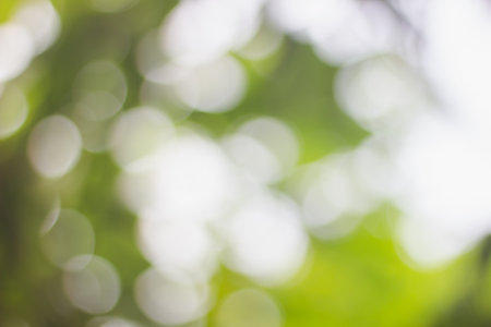 Abstract Blur of light bokeh background with full color green, yellow and grayの写真素材