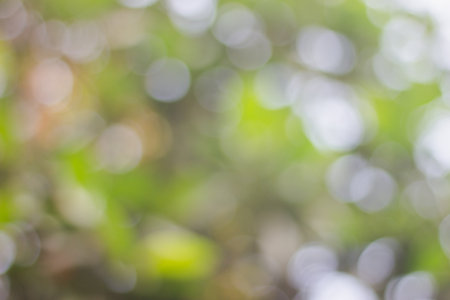 Abstract Blur of light bokeh background with full color green, yellow and grayの写真素材