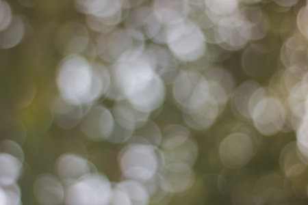 Abstract Blur of light bokeh background with full color green, yellow and grayの写真素材
