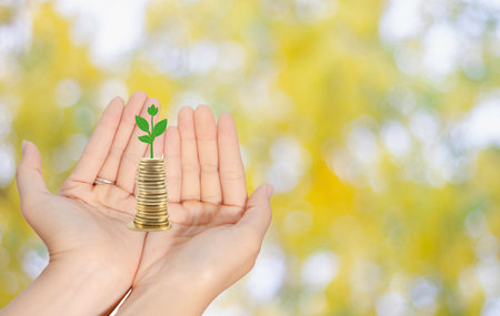 woman hand open up coins and green tree on palm,  growth of financial wealth business conceptの写真素材