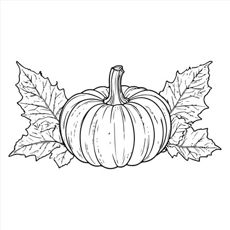 Continuous one black line drawing of pumpkin Halloween autumn harvest outline sketch doodle for coloring vector on white backgroundのイラスト素材